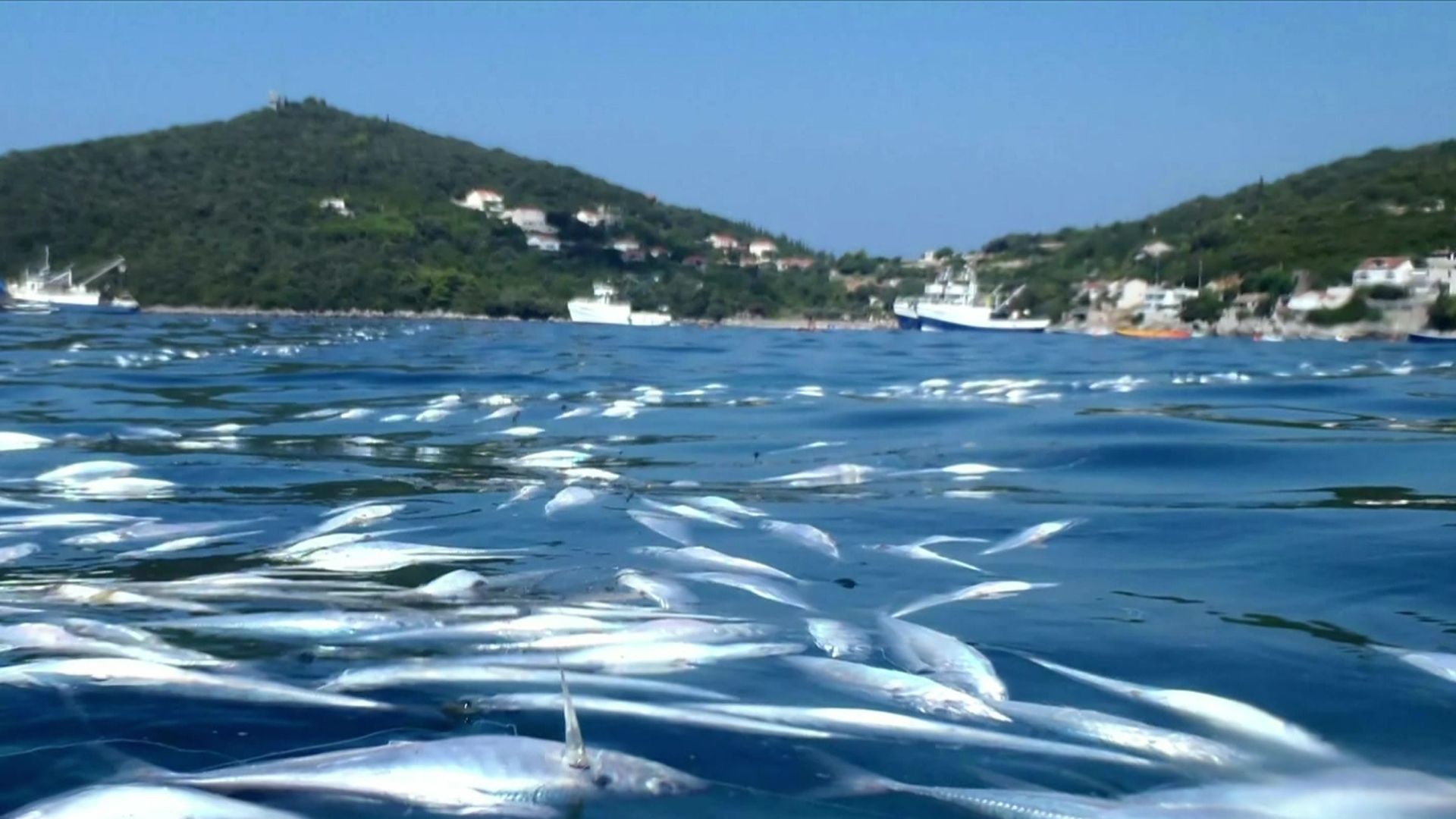 Datiranje željeznim noktima