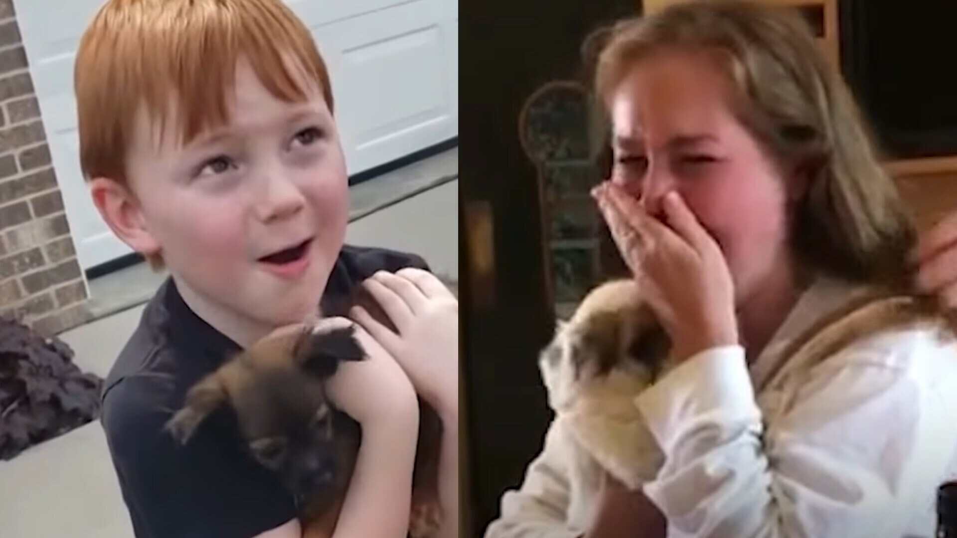 Ljubimci Im Uljep ali ivot I Ganuli Ih Do Suza Pogledajte Dirljive 