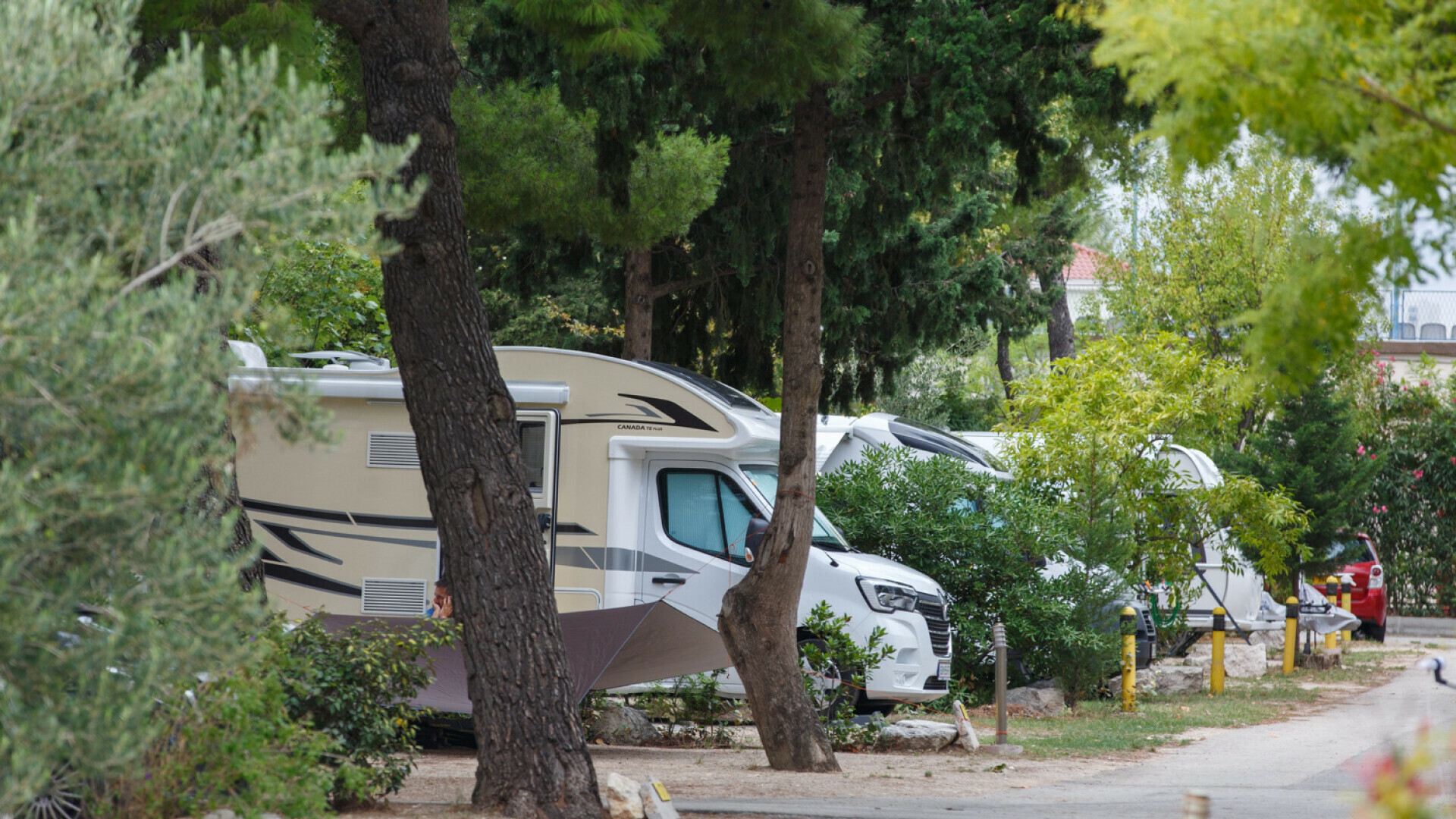 Qizil qalpoqcha jinsiy aloqa sayti Soruvchi mushuk yaqindan