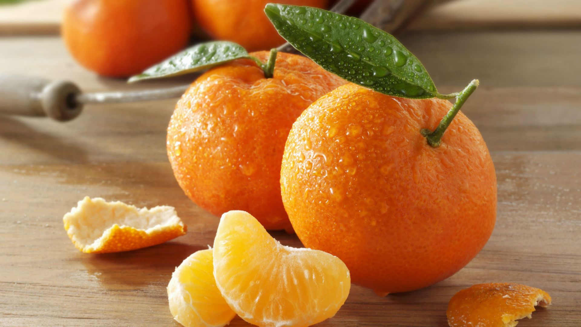 Image result for mandarina