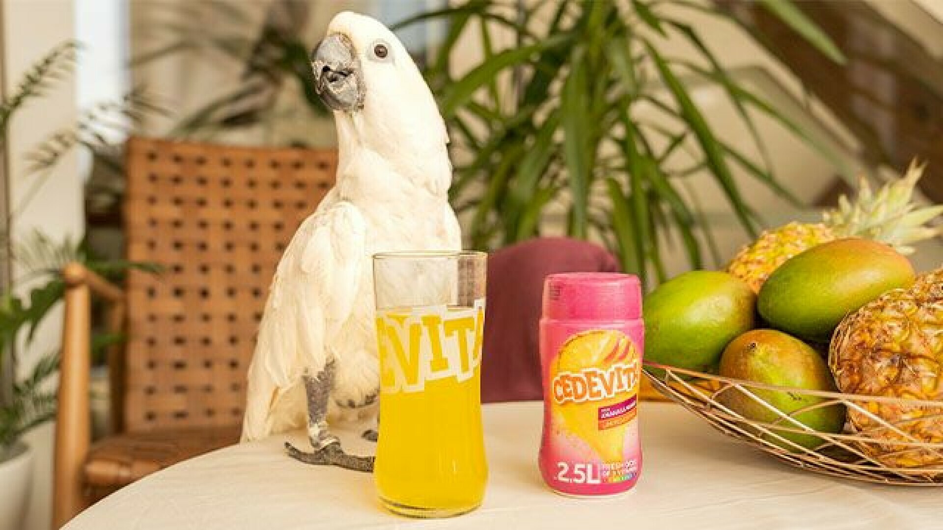 Novi Okus Nikad Egzoti niji Cedevita Ananas mango novi-okus-nikad-egzoti-niji-cedevita-ananas-mango