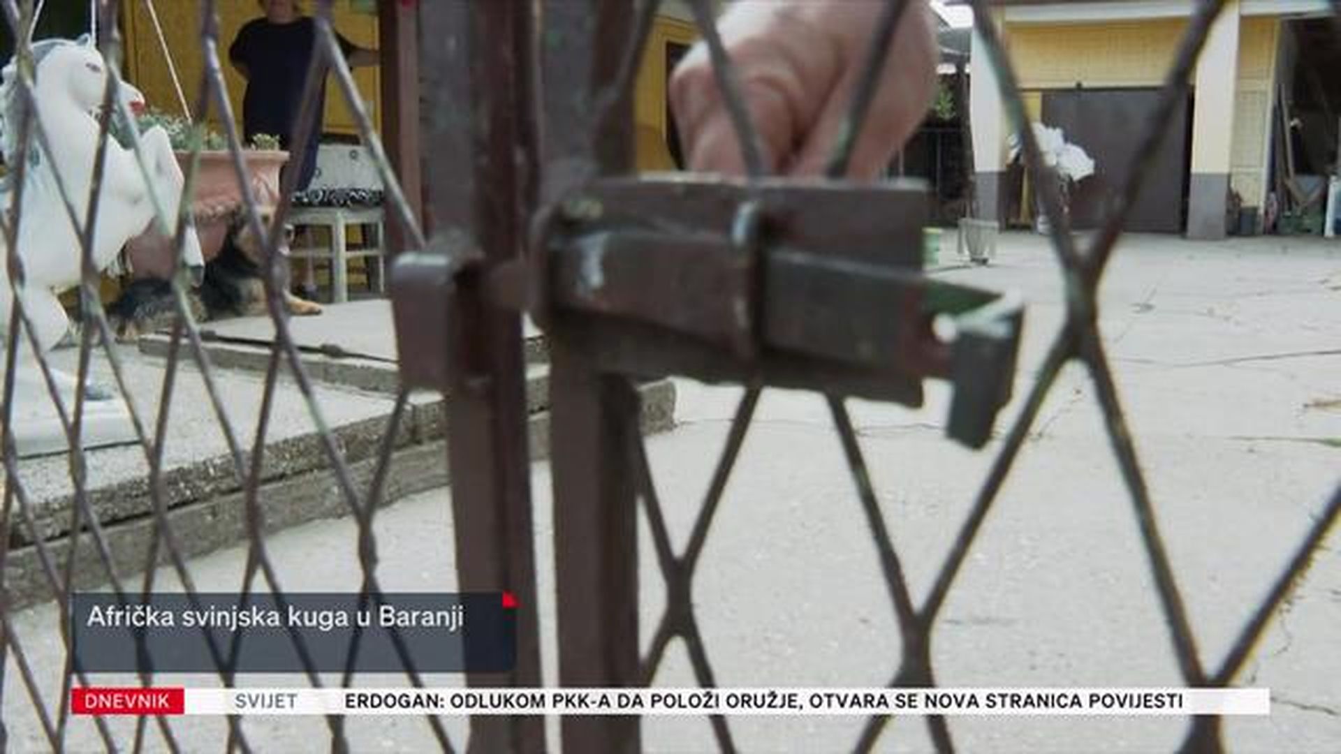Afrička svinjska kuga u Baranji