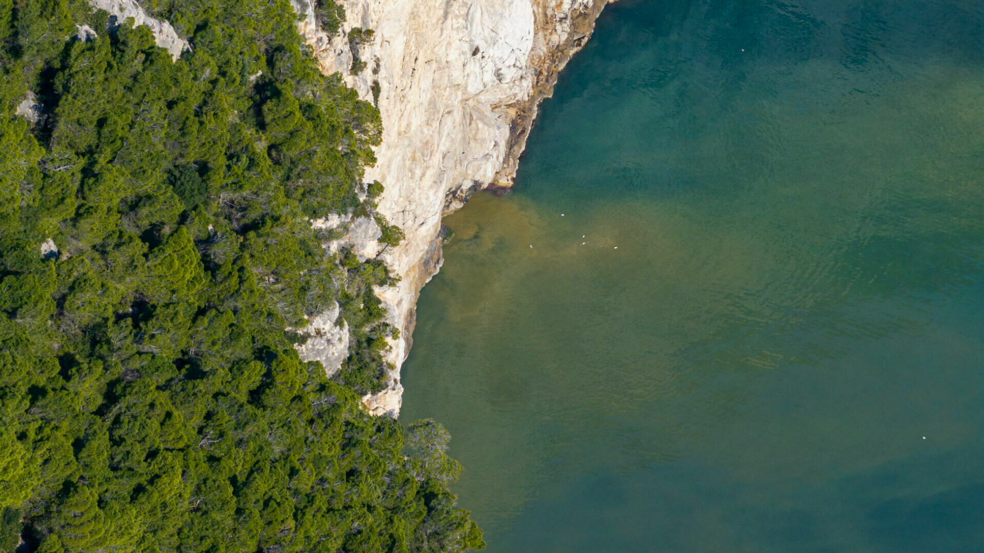 Gradonačelnik za začepljenu kanalizaciju krivi građane i vlažne maramice: "Mi smo Monty Python"... Kép