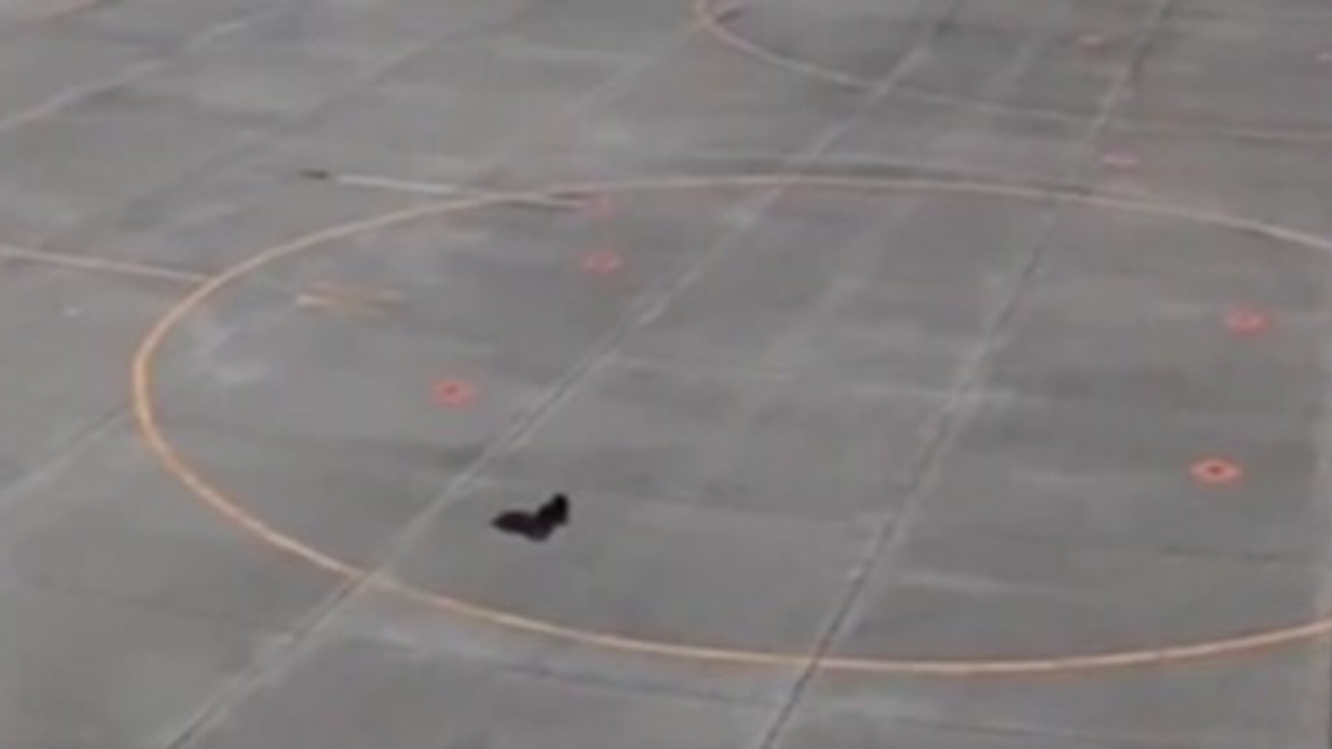 VIDEO Drama na aerodromu: Zbog opasnog uljeza prizemljili sve avione