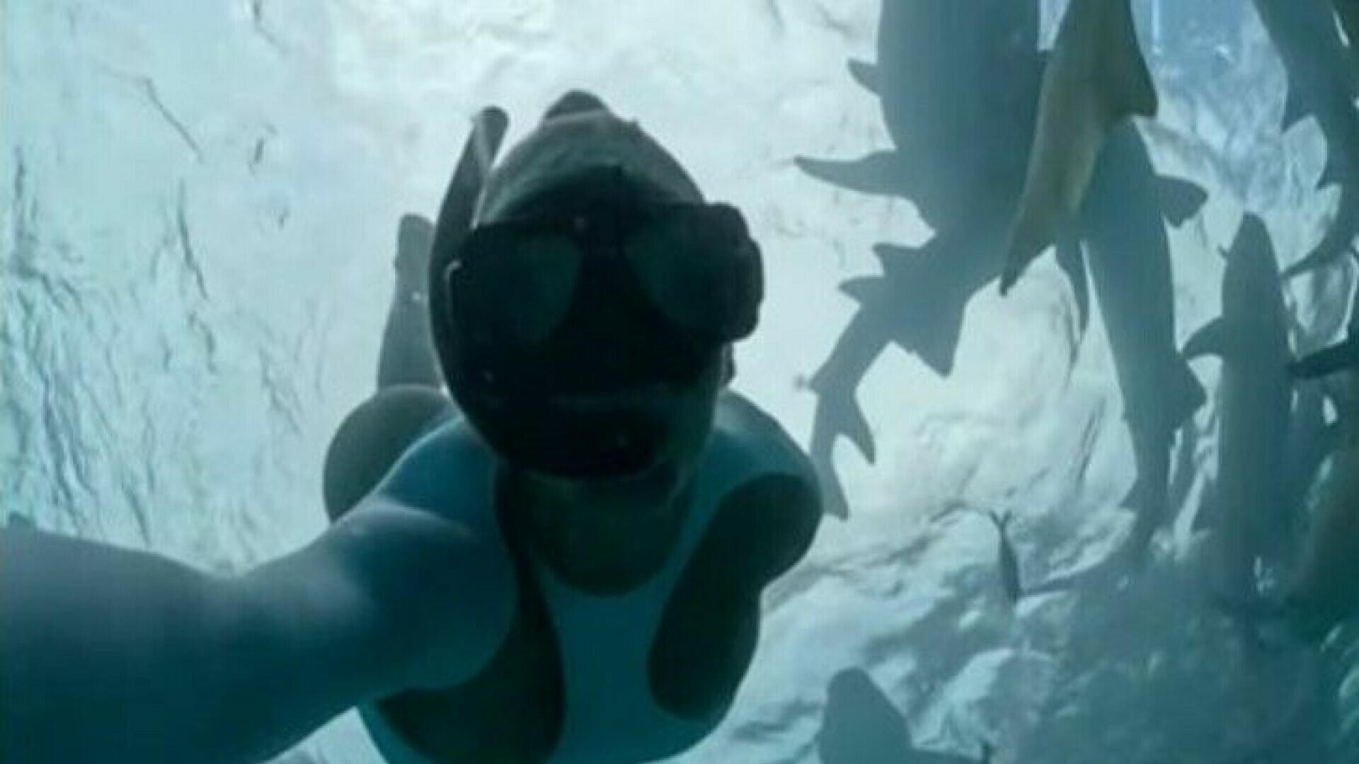 Ela Jerkovic's ongoing public life