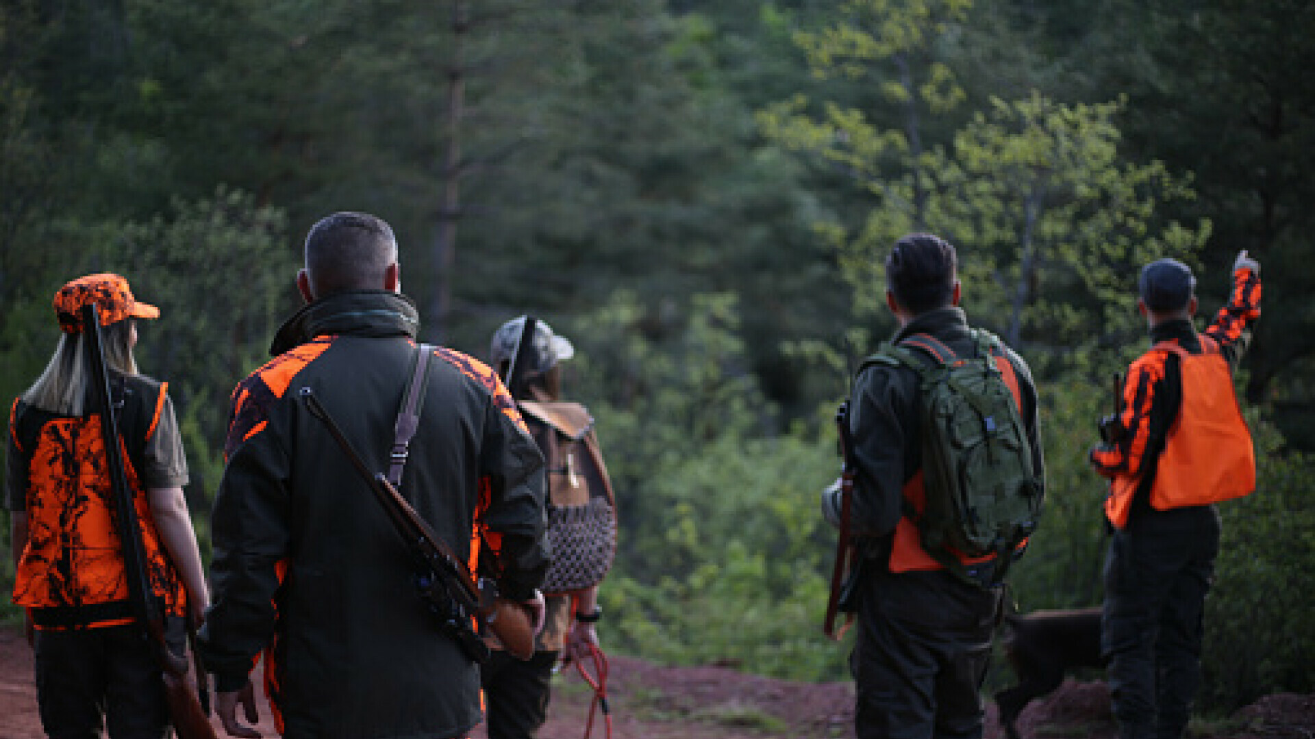 U šoku zbog opasnog predatora, naglo prekinuli lov i poslali upozorenje: "To je vrlo opasno"