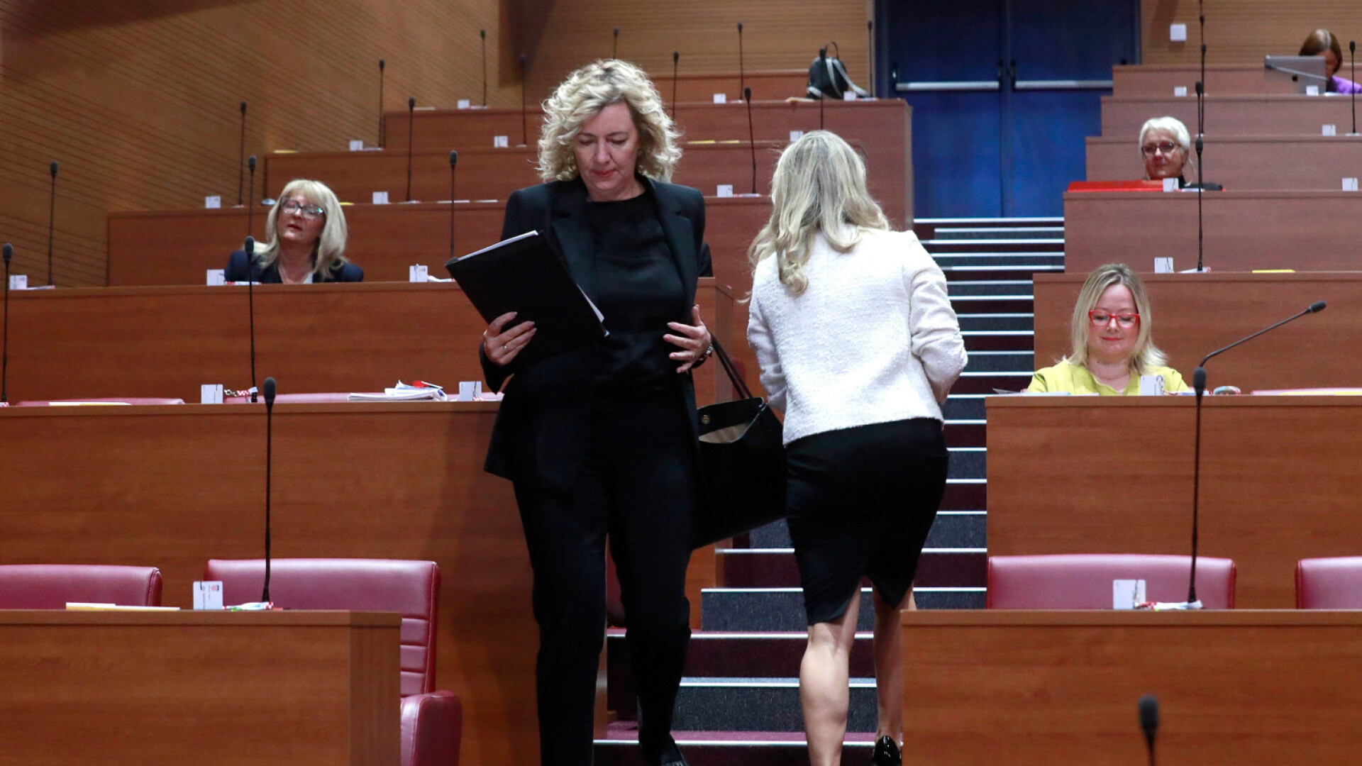 Bura u Saboru zbog svinja. SDSS-ovka rekla Dabri da puca po njivama, on uzvratio: "Ali ne kao vaši u selu na svadbi"