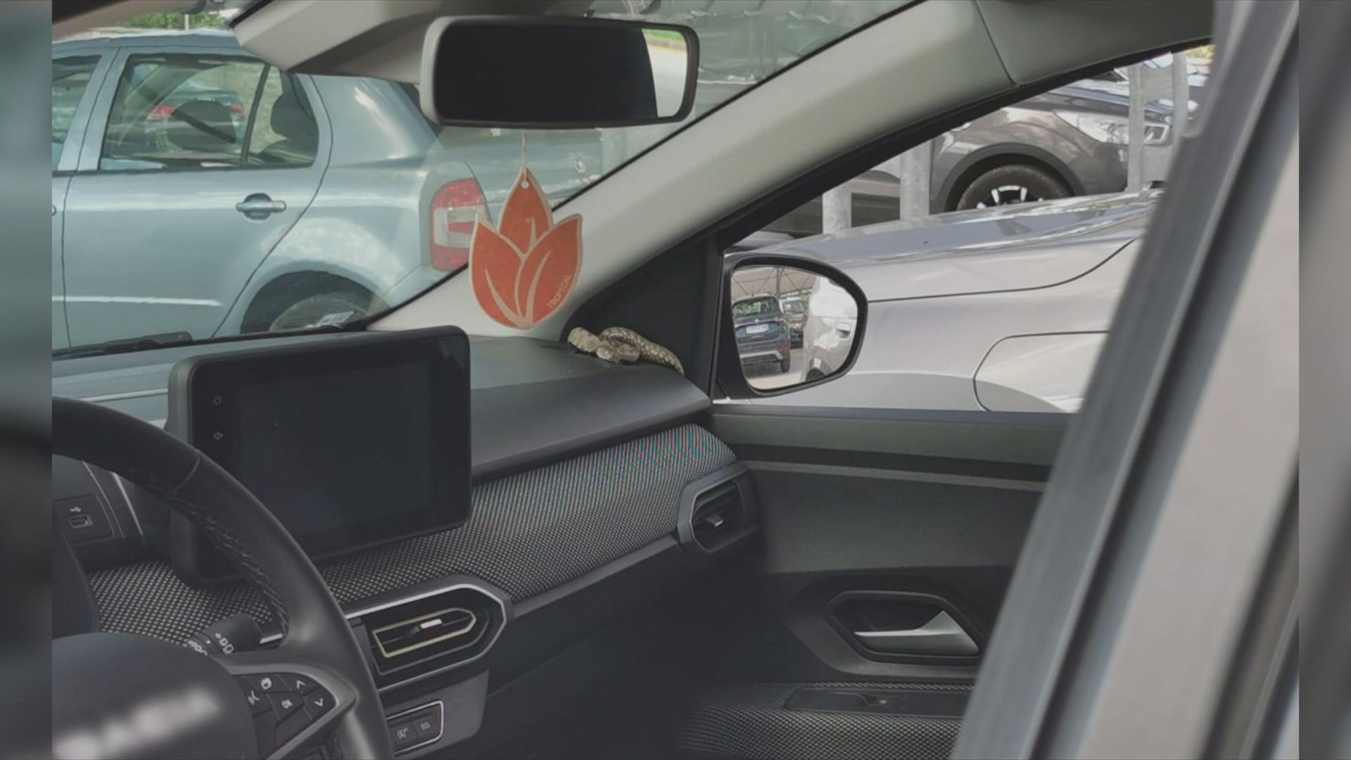 Novi zanimljivi detalji s poskokom koji se sunčao u automobilu: "Ovakvi slučajevi nisu rijetkost"