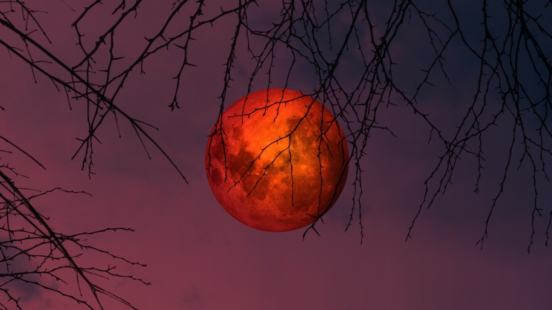 Kako 'krvavi Mjesec' utječe na horoskopske znakove i donosi prekretnicu?