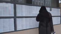 Stranačka zapošljavanja u javnoj upravi (Foto: screenshot/Informer) - 3