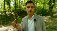 Dino Goleš o naknadi za šume(Foto: Dnevnik.hr)