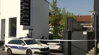 Ubojsvto u noćnom klubu Ritz - 2