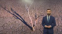 Videozid: Darijo Brzoja, suša - 2