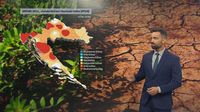 Videozid: Darijo Brzoja, suša - 3