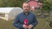 Ivan Čorkalo, reporter Dnevnika Nove TV