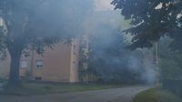 Zaprašivanje protiv komaraca - 2