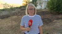 Lina Dollar, reporterka Nove TV