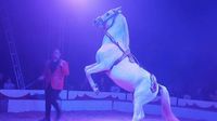 Cirkus Candy - 2