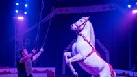 Cirkus Candy