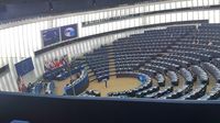 Europski parlament