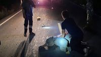 Tajlanđanin oživio stradalog slona - 6