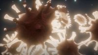 Koronavirus - 2