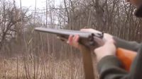 Sačmaricom ubio sinova psa - 2