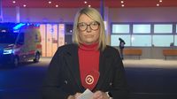 Lina Dollar, reporterka Nove TV