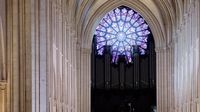 Katredrala Notre-Dame uoči otvaranja nakon obnove - 3