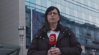 Marina Bešić Đukarić - 2