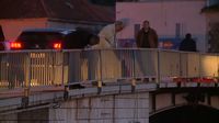 Napuknuće Čiovskog mosta uzrokovalo kaos (Foto: Dnevnik.hr) - 2