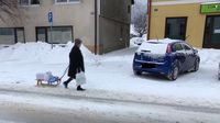 Vesna iz Delnica vuče stvari na sanjkama