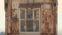 Brodotrogir - 2