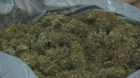 Marihuana - 2