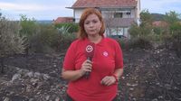 Sanja Jurišić (Foto: Dnevnik.hr)