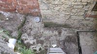 Zapela lisica u Markuševcu - 3