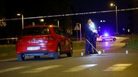Prometna nesreća u Španskom - 2