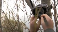 Uvode se kamere zbog bacanja smeća u prirodu - 3