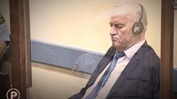 Provjereno: Što za koga znači osuda Ratka Mladića - 9