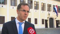 Goran Šaravanja - 2