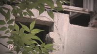Susjed iz noćne more - 5