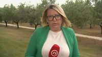 Lina Dollar, reporterka Dnevnika Nove TV