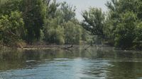 Dunav - 3