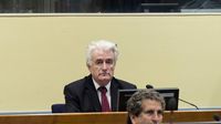 Radovan Karadžić osuđen na doživotni zatvor (Foto: AFP)