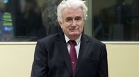 Radovan Karadžić (Foto: AFP)