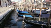 Niska razina vode u venecijanskim kanalima - 3