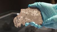 Meteorit