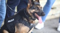 Dojava o bombi na Županijskom sudu u Zagrebu - 1