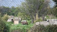 Splićanin držao 67 pasa i dva vuka, uhitila ga policija - 10