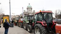 Vučićevi pristaše pred Narodnom skupštinom u Beogradu - 2